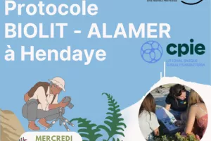 Devenez observateur du littoral basque et découvrez la richesse de la biodiversité