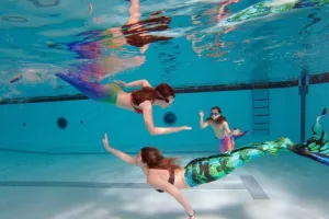 Activité sirènes et tritons à Aquabaule