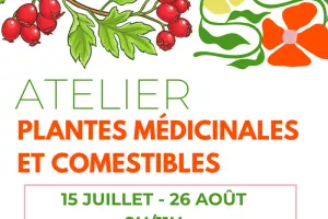 Atelier sur les plantes médicinales et comestibles