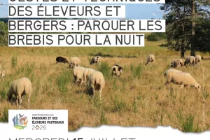 Gestes et techniques des éleveurs et bergers : parquer les brebis pour la nuit
