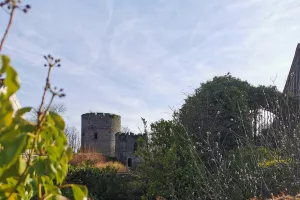 Visite guidée - Le château de Bois-Ruffin et la chapelle Saint-Benoist