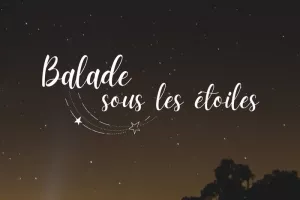 Balade sous les étoiles au Domaine de Lescure