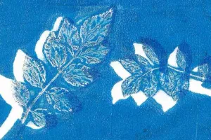 Atelier famille Cyanotype