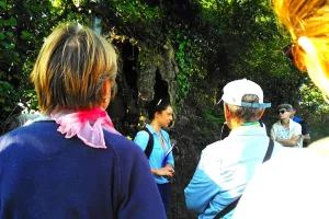 Bocage en baskets