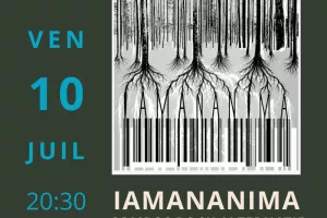 Iamananima en concert