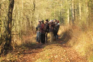 Sortie Nature Les oiseaux en hiver