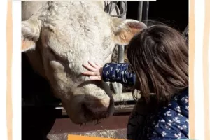 Visite de la Ferme des Trois Cheminées