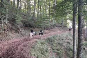 Deux journées à cheval