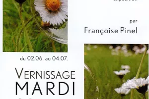EXPOSITION COINCER LA BULLE
