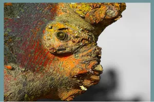 Exposition I Alain Durieux & Bruno Boigontier