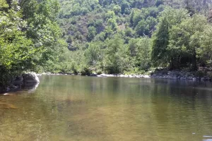 BALADE NATURE AU BORD DU TARN