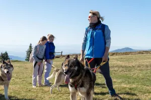 Cani-balade avec la meute de chiens nordiques