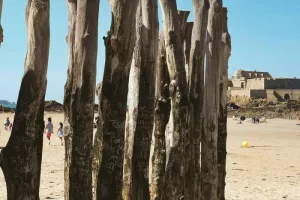 Sortie à la journée à Dinard
