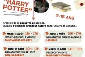 Escape game "Harry Potter"
