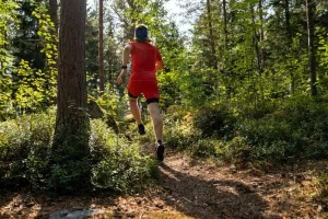 Trail du Fleckenstein