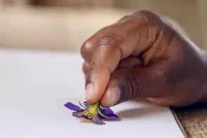 Atelier famille “Empreintes végétales”