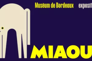 Exposition Miaou!