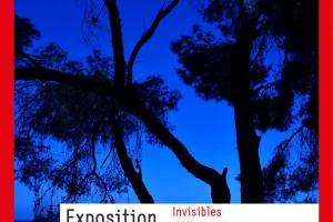 Exposition "Invisibles métamorphoses"