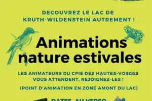 Animations nature estivales