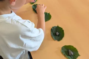 Pierre, feuille, bâton, jouons nature ! - Vendredi 28 août