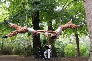 CIE IN FINE : 2 DANS L'ARBRE