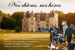 ANNULÉ - Festival du Chien