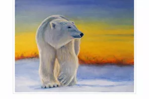 Exposition Pascale Bottard