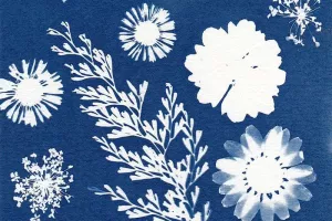 Initiation au cyanotype