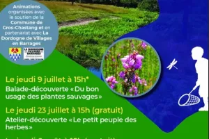 Atelier découverte "Le petit peuple des herbes"