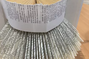 LES ATELIERS DE LA CABANE : PLIAGE ET PAPOTAGE