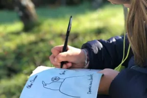 Atelier des p'tits curieux "Découvre les oiseaux du jardin et de la forêt"