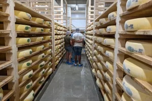 Visite guidée de la fruitière à comté de Passavant