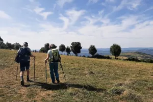 Balades d'Olt à l'Aubrac