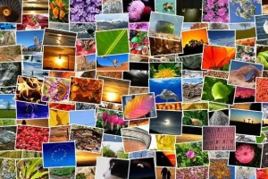 Exposition de photos en plein air