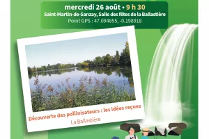 LES ESTIVALES DE LA NATURE : Découverte des pollinisateurs, les idées reçues