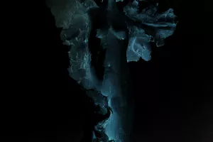 Exposition de sculptures et dessins de Stéphanie Douleau & Diana Vassina