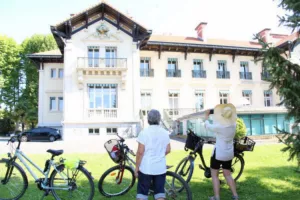 Safari à vélo