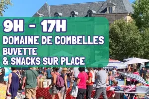 Grand vide grenier de Combelles