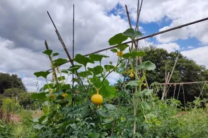 Initiez-vous à la permaculture à St-Laurent-les-Eglises - Août