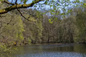 Sortie Brocéliande