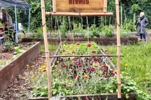Portes ouvertes du jardin partagé Félicie Hervieu de Châtillon