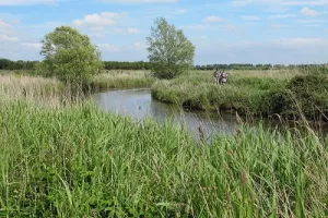 Randonnée dans les marais des Ponts d'Ouve