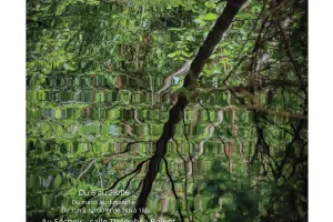 Rencontre avec Sandrine Messéan autour de son exposition photos « Le Marais, conteur de beautés » à Niort