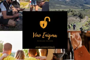 ESCAPE GAME DANS LES VIGNES PAR VINO ENIGMA