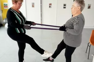 GYMNASTIQUE DE LA POSTURE (Parc Saint Rémi / Parc de Champagne)