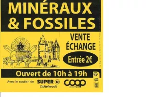 38ème Bourse-Exposition Minéraux, Fossiles, Pierres fines et Bijoux
