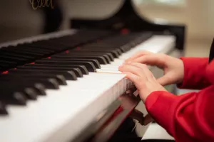AUDITION DES ÉLÈVES DE L'ACADÉMIE INTERNATIONALE DE MUSIQUE ET DE DANSE DE LA LOZÈRE