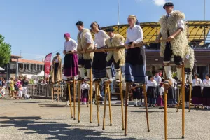 Spectacle des échassiers landais Les Hérons des Lacs