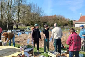 Agroforesterie syntropique