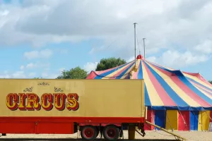 Cirque Johnny Circo